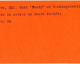 World War II, Vindicator, Carl "Testy" McCave, Washingtonville, killed, South Pacific, 1945, Trumbull