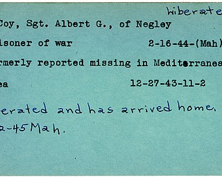 World War II, Vindicator, Albert G. McCoy, Negley, missing, Mediterranean, 1943, prisoner, 1944, liberated, arrived home, 1945, Mahoning