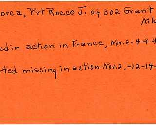World War II, Vindicator, Rocco J. Maiorca, Niles, missing, 1944, killed, France, 1945, Trumbull