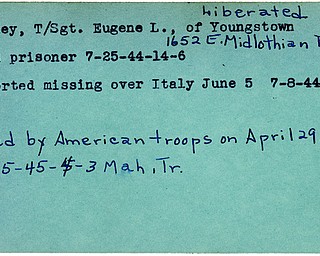 World War II, Vindicator, Eugene L. Bailey, Youngstown, prisoner, 1944, missing, Italy, 1945, Mahoning, Trumbull, liberated