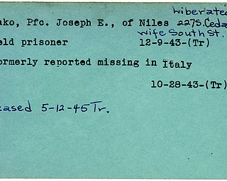 World War II, Vindicator, Joseph E. Bako, Niles, prisoner, 1943, Trumbull, missing, Italy, liberated, 1945