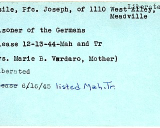 World War II, Vindicator, Joseph Basile, Meadville, prisoner, Germany, 1944, Mahoning, Trumbull, Marie B. Vardaro, liberated, 1945
