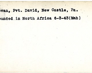 World War II, Vindicator, David Bevan, New Castle, wounded, Africa, 1943, Mahoning