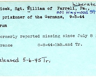 World War II, Vindicator, William Bicek, Farrell, prisoner, Germany, 1944, Trumbull, missing, France, Mahoning, liberated, 1945