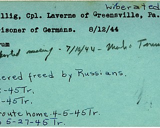 World War II, Vindicator, Laverne Billig, prisoner, Germany, Trumbull, 1944, 1945, liberated, Mahoning, Greensville