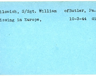 World War II, Vindicator, William Bilowich, Butler, missing, Europe, 1944