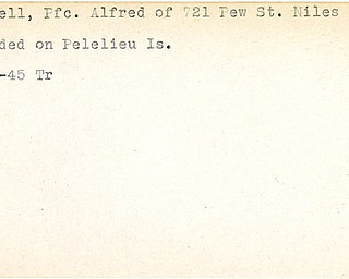 World War II, Vindicator, Alfred Bissell, Niles, wounded, Peleliu Island, Pacific, Pelelieu Island, 1945, Trumbull