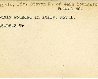 World War II, Vindicator, Steven K. Blazinik, Youngstown, wounded, Italy, 1945, Trumbull