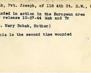 World War II, Vindicator, Joseph Bobak, Warren, wounded, Europe, 1944, Mahoning, Trumbull, Mary Bobak