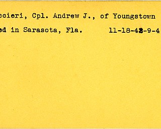 World War II, Vindicator, Andrew J. Boccieri, Youngstown, died, Sarasota, 1942