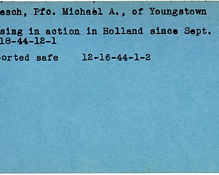 World War II, Vindicator, Michael A. Bokesch, Youngstown, missing, Holland, 1944, safe