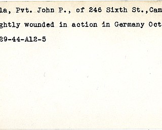 World War II, Vindicator, John P. Bosela, Campbell, wounded, Germany, 1944