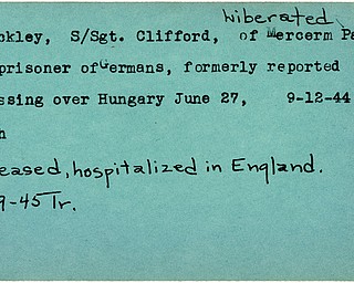 World War II, Vindicator, Clifford Buckley, Mercer, prisoner, liberated, Germany, Hungary, 1944, Mahoning, Trumbull, 1945, hospitalized
