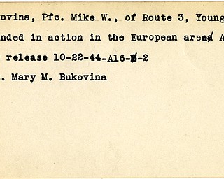 World War II, Vindicator, Mike W. Bukovina, Youngstown, wounded, Europe, 1944, Mary M. Bukovina
