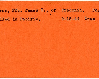 World War II, Vindicator, James T. Burns, Fredonia, killed, Pacific, 1944, Trumbull