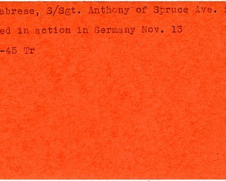 World War II, Vindicator, Anthony Calabrese, Sharon, killed, Germany, 1945, Trumbull