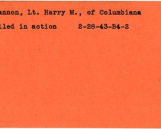 World War II, Vindicator, Harry M. Cannon, Columbiana, killed, 1943