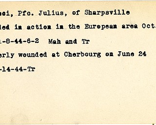 World War II, Vindicator, Julius Caracci, Sharpsville, wounded, Europe, 1944, Mahoning, Trumbull, Cherbourg