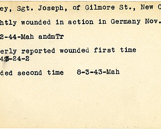 World War II, Vindicator, Joseph Carney, New Castle, wounded, Germany, 1944, Mahoning, Trumbull, 1943