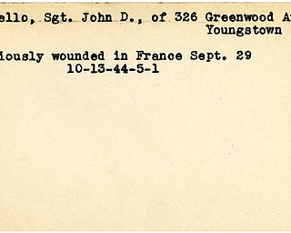 World War II, Vindicator, John D. Catello, Youngstown, wounded, France, 1944