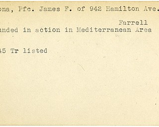 World War II, Vindicator, James F. Catrona, Farrell, wounded, Mediterranean, 1945, Trumbull