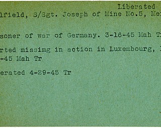 World War II, Vindicator, Joseph Caulfield, Mercer, liberated, prisoner, Germany, 1945, Mahoning, Trumbull, missing, Luxembourg