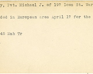 World War II, Vindicator, Michael J. Cavey, Warren, wounded, Europe, 1945, Mahoning, Trumbull