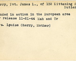 World War II, Vindicator, James L. Cherry, Butler, wounded, Europe, 1944, Mahoning, Trumbull, Louise Cherry