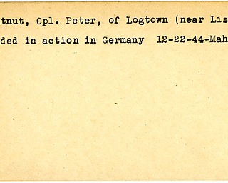 World War II, Vindicator, Peter Chestnut, Logtown, Lisbon, wounded, Germany, 1944, Mahoning