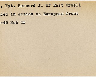 World War II, Vindicator, Bernard J. Ciha, East Orwell, wounded, Europe, 1945, Mahoning, Trumbull