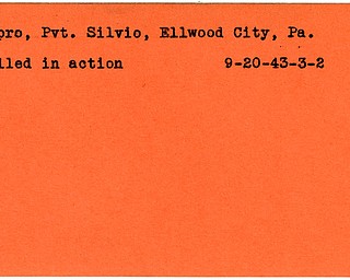 World War II, Vindicator, Silvio Cipro, Ellwood City, killed, 1943