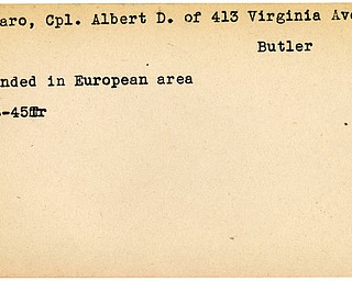 World War II, Vindicator, Albert D. Coccaro, Butler, wounded, Europe, 1945, Trumbull