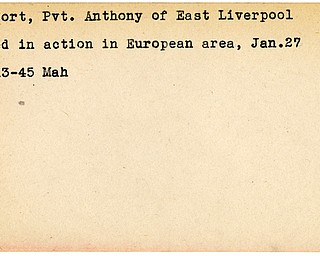 World War II, Vindicator, Anthony Comfort, East Liverpool, wounded, Europe, 1945, Mahoning