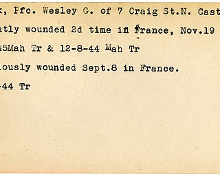 World War II, Vindicator, Wesley G. Cook, wounded, New Castle, France, 1945, Trumbull, Mahoning, 1944