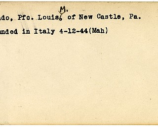 World War II, Vindicator, Louis M. Dando, New Castle, wounded, Italy, 1944, Mahoning
