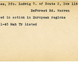 World War II, Vindicator, Ludwig V. Davies, Warren, wounded, Europe, 1945, Mahoning, Trumbull