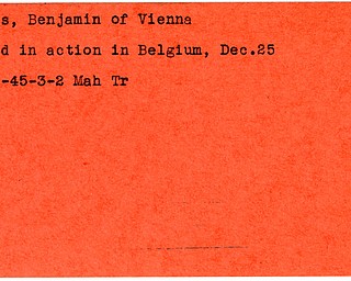 World War II, Vindicator, Benjamin Davis, Vienna, killed, Belgium, 1945, Mahoning, Trumbull