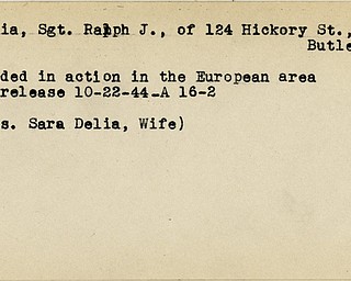 World War II, Vindicator, Ralph J. Delia, Sgt, Butler, wounded, Europe, 1944, Sara Delia