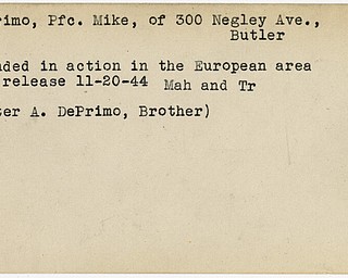 World War II, Vindicator, Mike DePrimo, Butler, wounded, Europe, 1944, Mahoning, Trumbull, Peter A. DePrimo