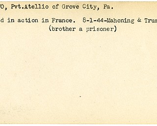 World War II, Vindicator, Atellio DeSalvo, Grove City, wounded, France, 1944, Mahoning, Trumbull