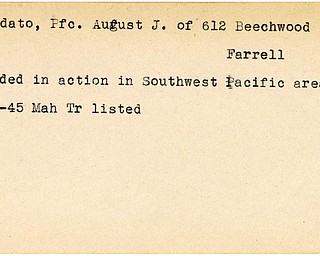 World War II, Vindicator, August J. Doddato, Farrell, wounded, Southwest Pacific, 1945, Mahoning, Trumbull