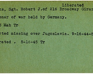 World War II, Vindicator, Robert J. Crooks, liberated, Girard, prisoner, Germany, 1945, Mahoning, Trumbull, missing, 1944