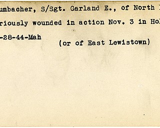 World War II, Vindicator, Garland E. Crumbacher, North Lima, wounded, Holland, 1944, Mahoning