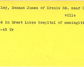 World War II, Vindicator, James Eckley, Seaman, Greenville, died, meningitis, Great Lakes Hospital, 1945, Trumbull