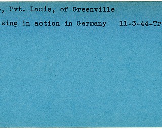 World War II, Vindicator, Louis Erb, Greenville, missing, Germany, 1944, Trumbull