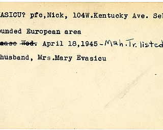 World War II, Vindicator, Nick Evasicu, Sebring, wounded, Europe, 1945, Mary Evasicu, Mahoning, Trumbull