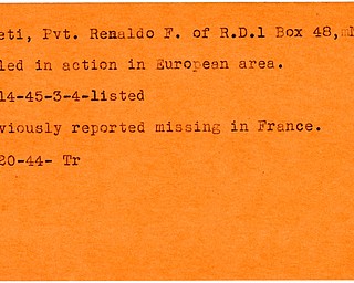 World War II, Vindicator, Renaldo F. Ficeti, Niles, killed, Europe, 1945, missing, France, 1944, Trumbull