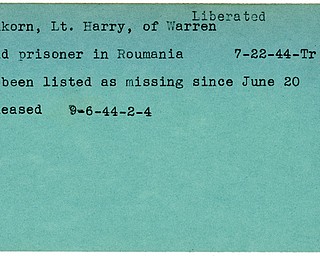World War II, Vindicator, Harry Filkorn, liberated, Warren, prisoner, Roumania, 1944, Trumbull