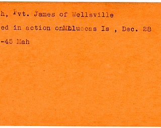 World War II, Vindicator, James Fish, Wellsville, killed, 1945, Mahoning