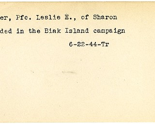 World War II, Vindicator, Leslie E. Flower, Sharon, wounded, Biak Island, 1944, Trumbull